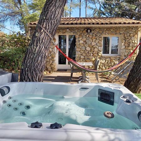 Gite Avec Spa Jacuzzi Au Coeur De Provence Cote D'Azur Saint-Antonin-du-Var Экстерьер фото