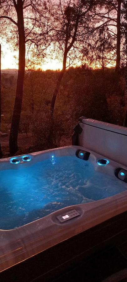 Gite Avec Spa Jacuzzi Au Coeur De Provence Cote D'Azur Saint-Antonin-du-Var Экстерьер фото